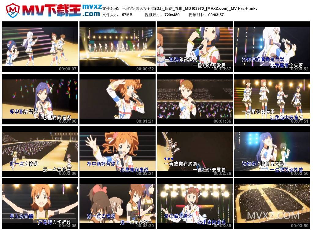 王建荣-男人没有错(DJ)_国语_舞曲_MD103970